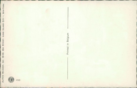 Adressseite der Ansichtskarte Katzen auf Modenschau, 