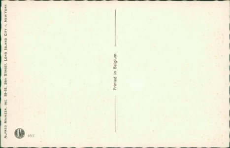 Adressseite der Ansichtskarte Katzen im Krankenhaus, 