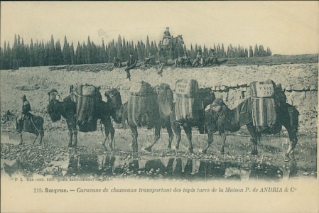 Alte Ansichtskarte Izmir / Smyrna / Smyrne, Caravane de chameaux transportant des tapis turcs de la Maison P. de ANDRIA & Cie.