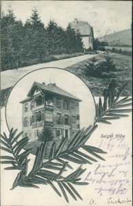 Alte Ansichtskarte Lenzkirch-Saig, Saiger Höhe (BESCHNITTEN)