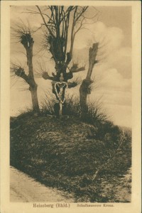 Alte Ansichtskarte Heinsberg, Schafhausener Kreuz