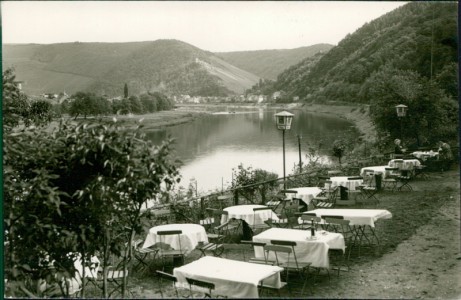 Alte Ansichtskarte Traben-Trarbach, Gasthaus und Fremdenpension "Waldschenke", Bes: Karl Schneiders